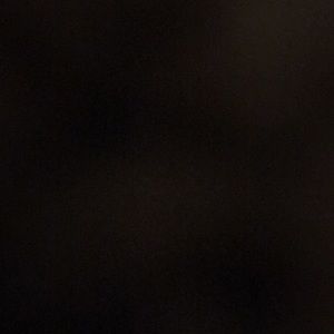 Meet your Posher, Antonio